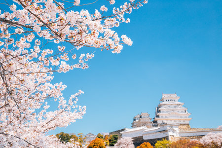 Himeji Castle with cherry blossoms at spring in Japanのeditorial素材