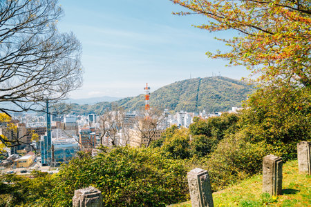 Tokushima Central Park and city view in Shikoku, Japanのeditorial素材