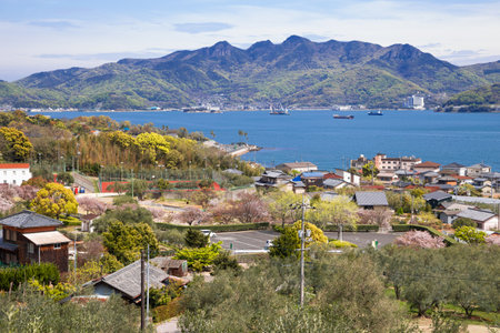 Shodoshima island seaside village at Olive park in Kagawa, Japanのeditorial素材