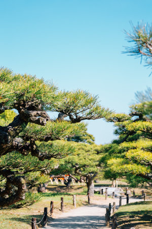 Ritsurin Park, Japanese traditional garden in Takamatsu, Kagawa, Japanのeditorial素材