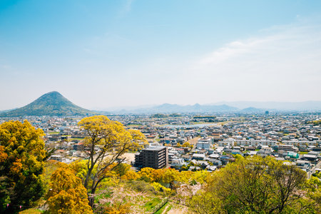 Marugame cityscape from Marugame castle in Kagawa, Japanのeditorial素材