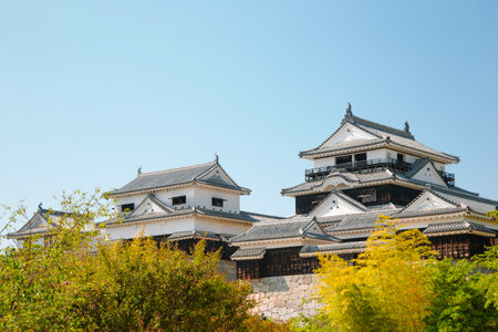 Matsuyama Castle traditional architecture in Japanのeditorial素材