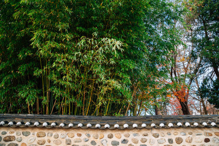 Bamboo forest and Korean traditional wall at Jukseoru Pavilion in Samcheok, Koreaのeditorial素材