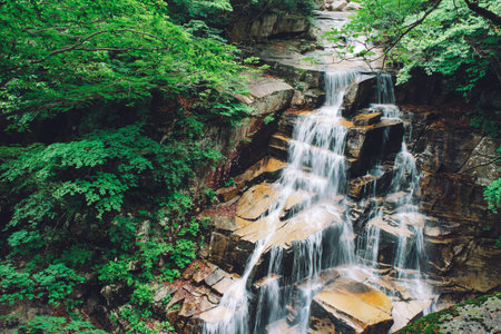 Waterfall and forest at Mureung Valley in Donghae, Korea