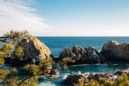 Jangho Port sea and rock in Samcheok, Koreaのeditorial素材