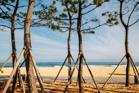 Samcheok beach in Samcheok, Koreaのeditorial素材
