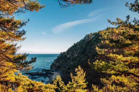 Jeongdong-Simgok Badabuchae-gil Trail seascape in Gangneung, Koreaのeditorial素材