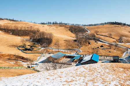 Winter mountain at Daegwallyeong sheep ranch in Pyeongchang, Koreaのeditorial素材