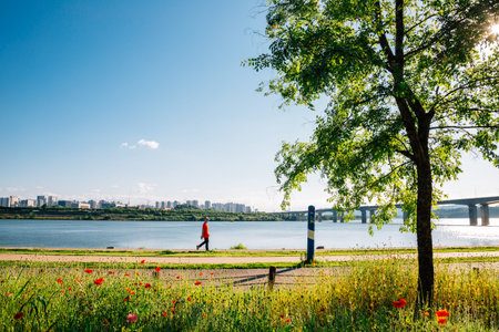 Misa Bridge and Namyangju Hangang river Park Sampae District at spring in koreaのeditorial素材