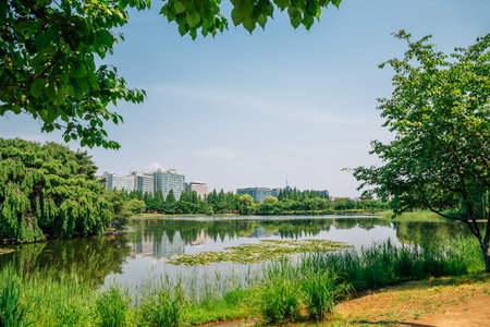 Ilsan Lake Park and modern buildings in Goyang, Korea