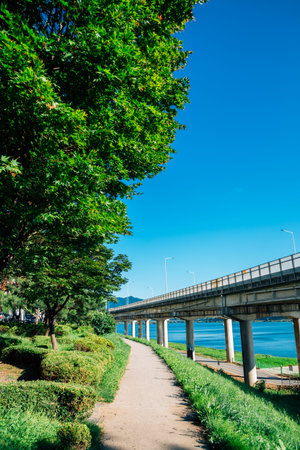 Summer of Namyangju Hangang river Park Sampae District in korea