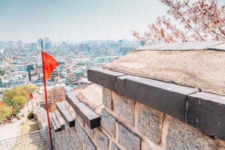 Hwaseong Fortress with cherry blossoms in Suwon, Korea