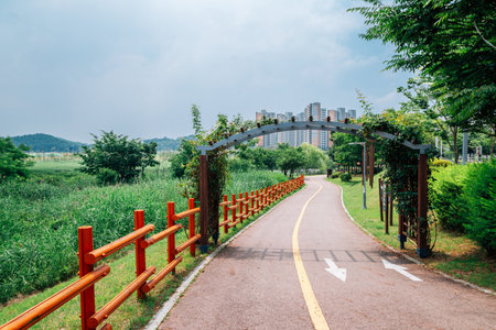 Ansan Reed Marsh Park and apartment buildings in Ansan, Koreaのeditorial素材