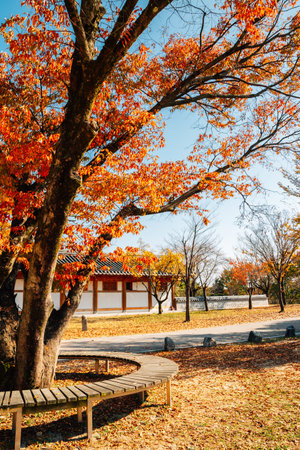 Autumn of Silleuksa Temple in Yeoju, Korea