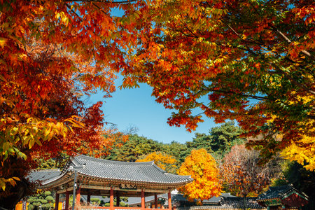 Silleuksa Temple with autumn maple in Yeoju, Korea