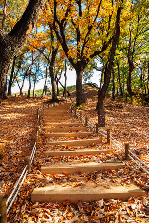 Autumn colorful forest road at Miryang Eupseong Fortress in Miryang, Korea