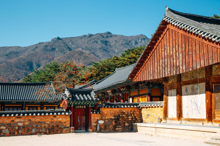 Autumn of Tongdosa temple, Unesco world heritage in Yangsan, Koreaのeditorial素材