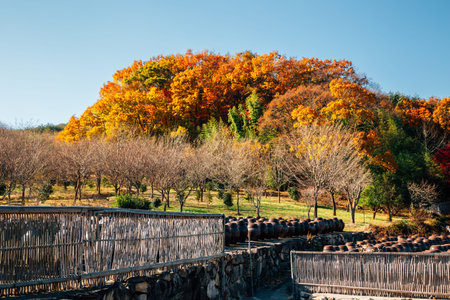 Tongdosa temple Seowoonam at autumn in Yangsan, Koreaのeditorial素材