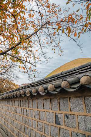 Daereungwon tombs stonewall walkway at autumn in Gyeongju, Koreaのeditorial素材