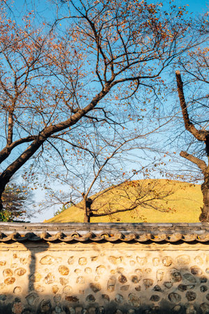 Daereungwon tombs stonewall walkway at autumn in Gyeongju, Koreaのeditorial素材