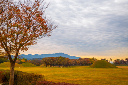Sunset of Inwang-dong ancient tomb complex at autumn in Gyeongju, Koreaのeditorial素材