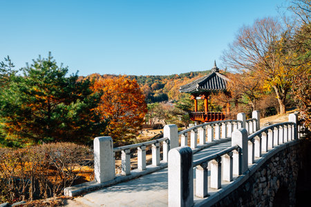 Andong Folk Village at autumn in Andong, Koreaのeditorial素材