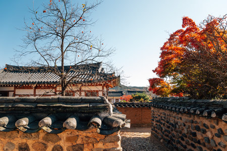 Andong Hahoe Folk Village at autumn in Andong, Koreaのeditorial素材