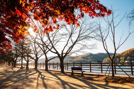 Nakdonggang riverside park at autumn in Andong, Koreaのeditorial素材