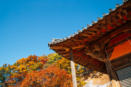 Autumn of Buseoksa Temple in Yeongju, Koreaのeditorial素材