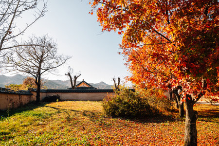 Andong Hahoe Folk Village at autumn in Andong, Koreaのeditorial素材