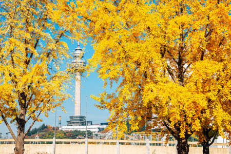 Autumn of Duryu Park in Daegu, Koreaのeditorial素材