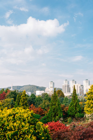View of Hanbat Arboretum and modern buildings at autumn in Daejeon, Korea