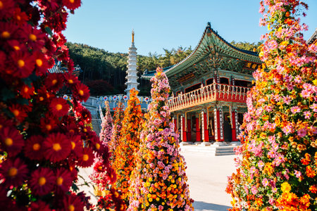 Busan, Korea - November 9, 2020 : Samgwangsa Temple flower festivalのeditorial素材