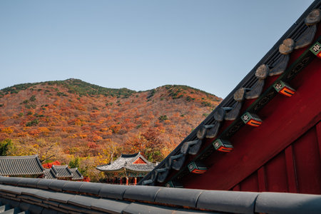 Beomeosa temple with autumn mountain in Busan, Koreaのeditorial素材