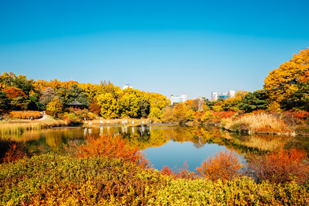 park autumn maple and lake in Seoul, Koreaのeditorial素材
