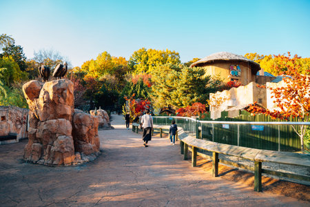 Seoul, Korea - November 2, 2018 : Children's Grand Park at autumn