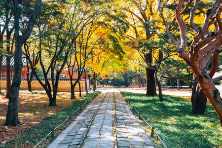 Jongmyo Shrine autumn maple forest in Seoul, Koreaのeditorial素材
