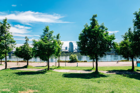 Ttukseom Hangang Park at summer in Seoul, korea
