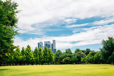 Seoul forest park with modern skyscrapers in Koreaのeditorial素材