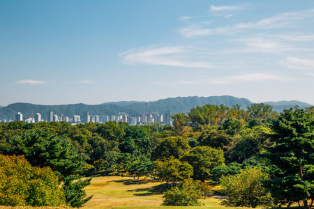 Green forest and modern buildings at park in Seoul, Korea