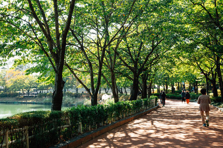 Seokchon lake green forest road in Seoul, Koreaのeditorial素材