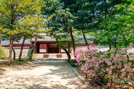 Spring of Jongmyo Shrine in Seoul, Koreaのeditorial素材