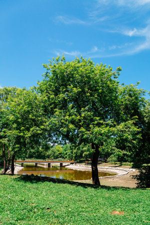 Seoul forest park at summer in Koreaのeditorial素材