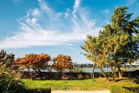 Jamsil Hangang river park in Seoul, Koreaのeditorial素材