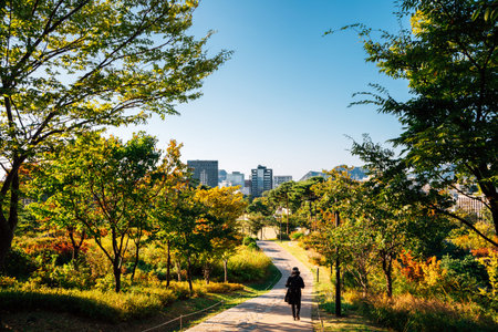 Autumn of Namsan park Baekbeom plaza in Seoul, Koreaのeditorial素材