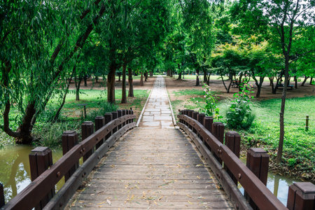 Wooden bridge with green trees at Seoul forest park in Koreaのeditorial素材