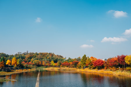 Autumn of West Seoul Lake Park in Seoul, Koreaのeditorial素材