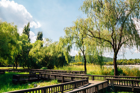 World Cup Park, Pyeonghwa park in Seoul, Koreaのeditorial素材