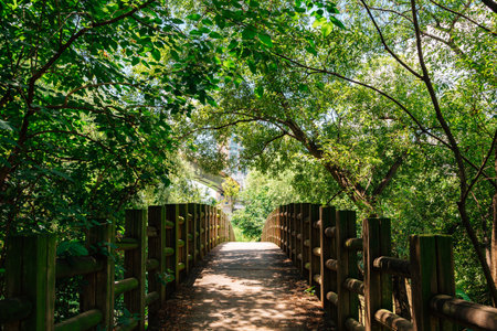 Forest road at Yeouido Saetgang Eco Park in Seoul, Koreaのeditorial素材