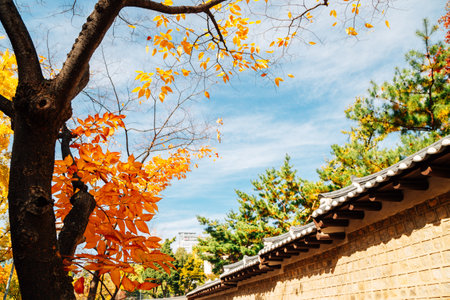 Deoksugung stonewall walkway with autumn leaves in Seoul, Koreaのeditorial素材